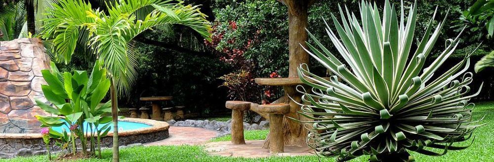 Hotel Las Orquideas La Fortuna Exterior foto